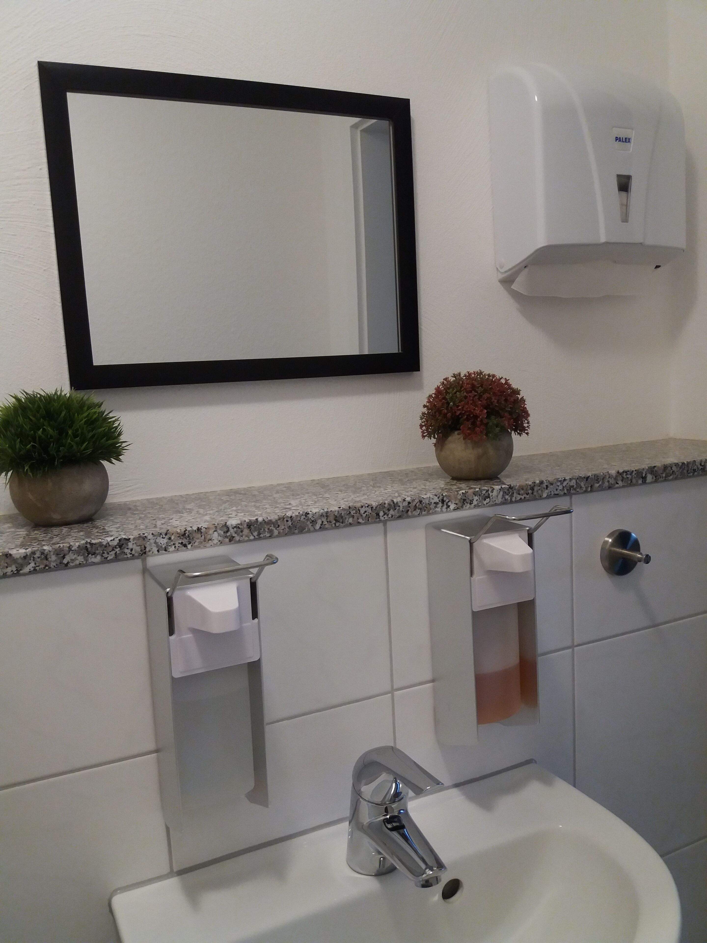A bathroom with a sink, mirror, towel dispenser, and two potted plants on the countertop.