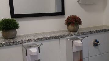 A bathroom with a sink, mirror, towel dispenser, and two potted plants on the countertop.