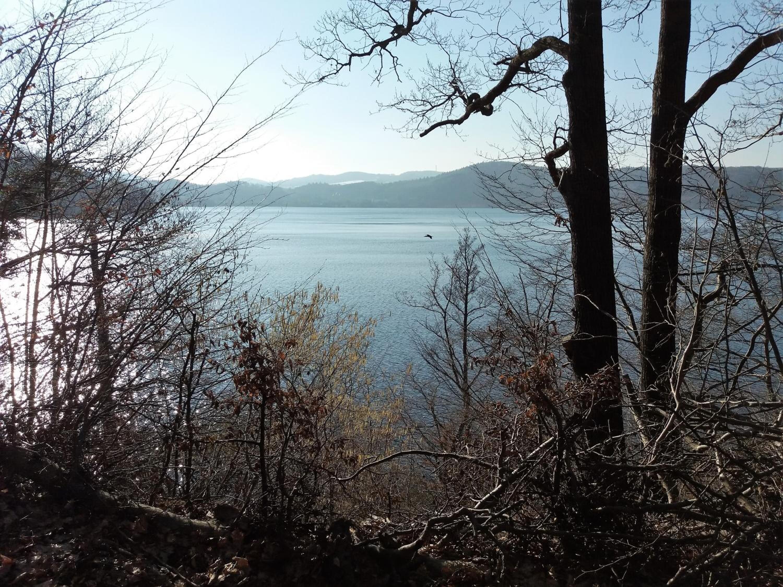 A view of a lake surrounded by trees and hills.