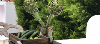 Kiraz Cicegi Butik Akyaka