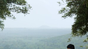 Khu ẩm thực ngoài trời