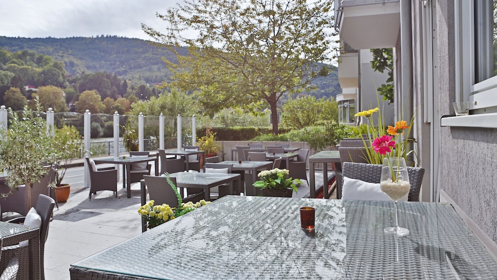 Hotel Neckarlux