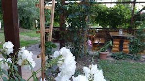 A garden with white flowers and a wooden pergola structure. - Kolpinghaus (Caransebes)