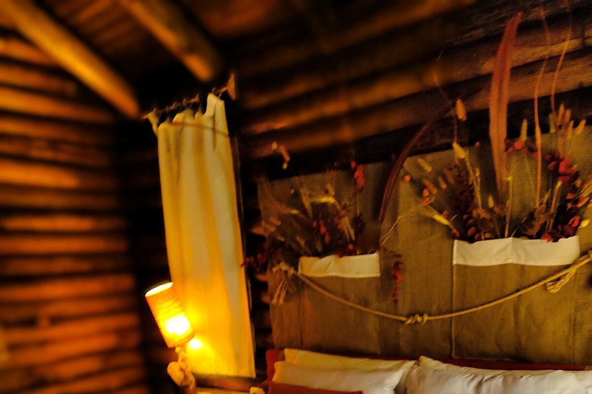 A neatly made bed with white and orange bedding, a lit lamp, and a decorative plant arrangement.