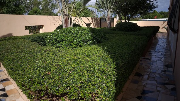 Un espace paysager aménagé en jardin, avec des haies taillées avec soin et un chemin bordé de dalles.