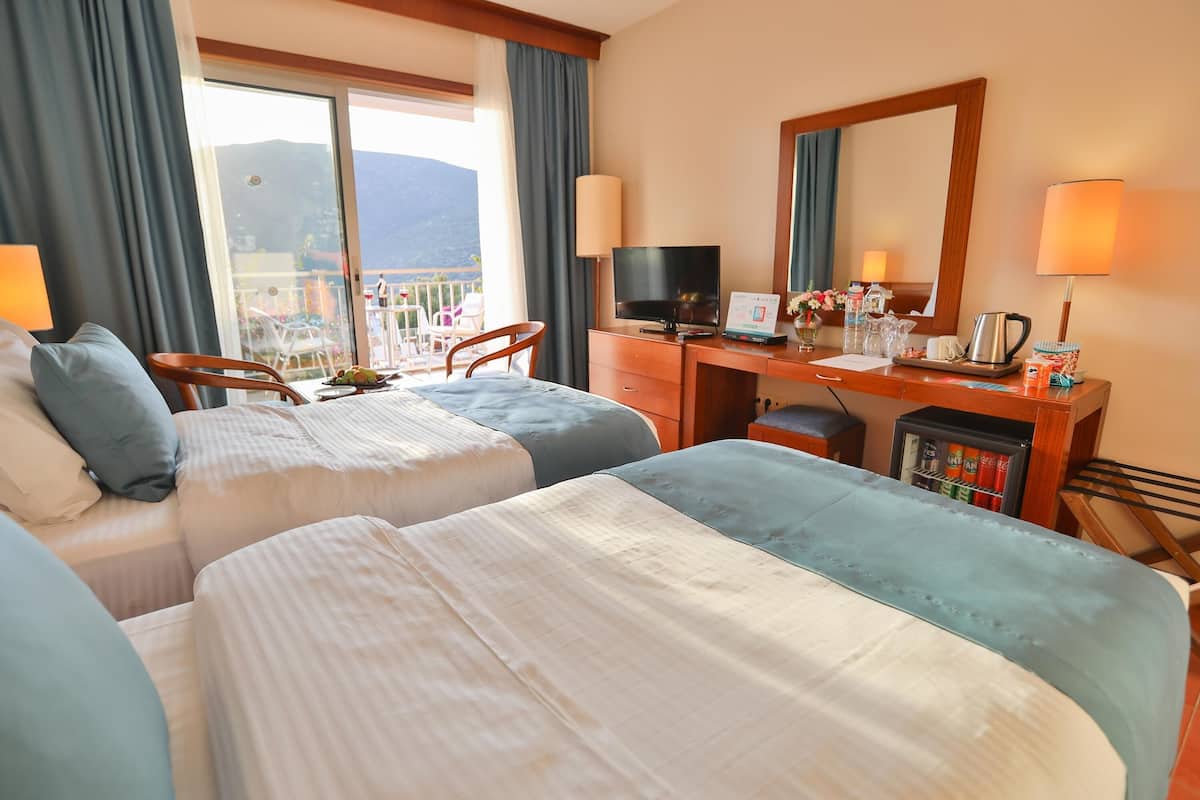 standard double or twin room | view from room