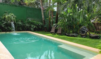Piscina rectangular con agua cristalina, rodeada de abundante vegetación, incluyendo palmeras y helechos.
