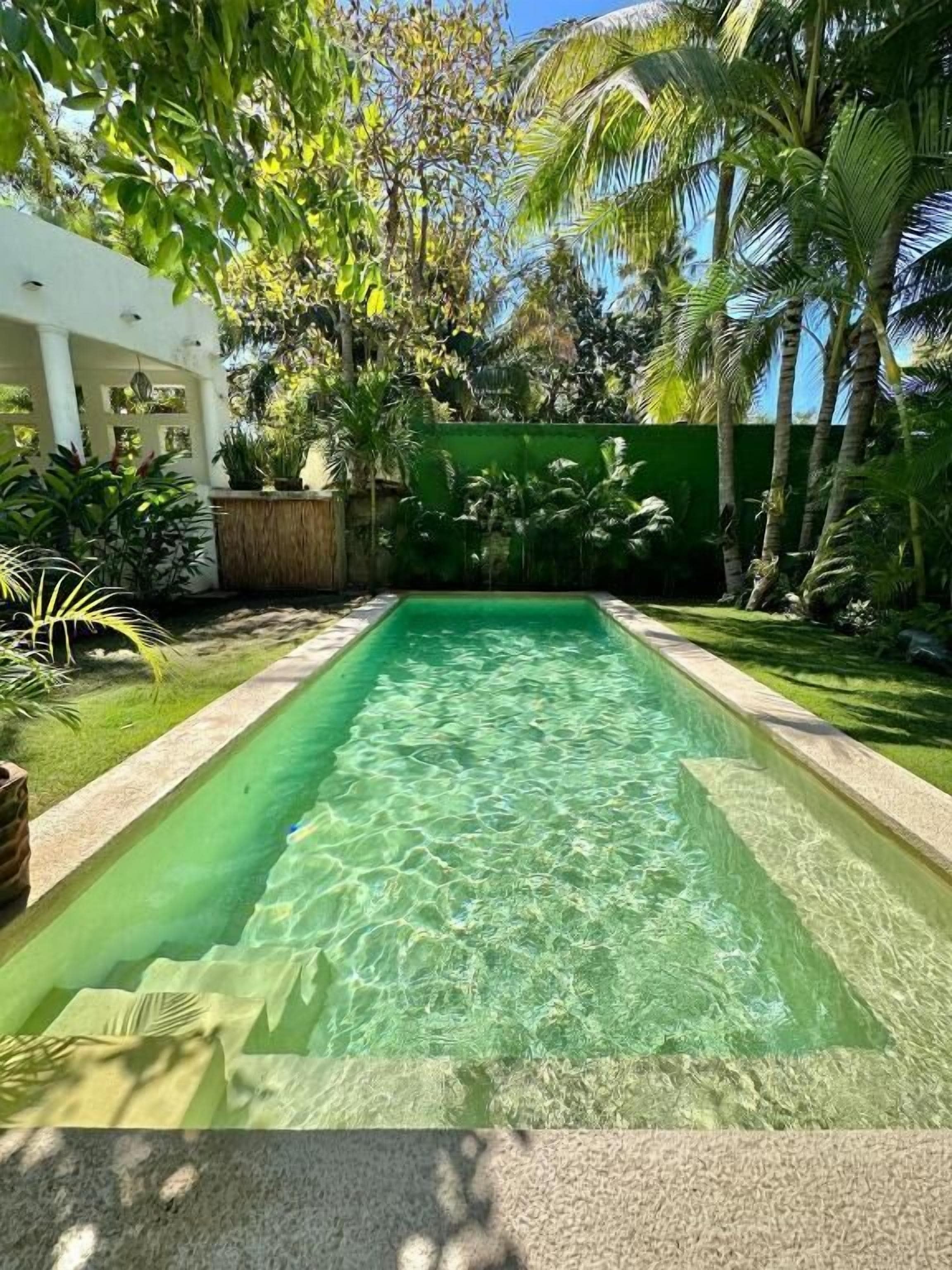 A rectangular swimming pool with clear water, surrounded by lush greenery and palm trees.