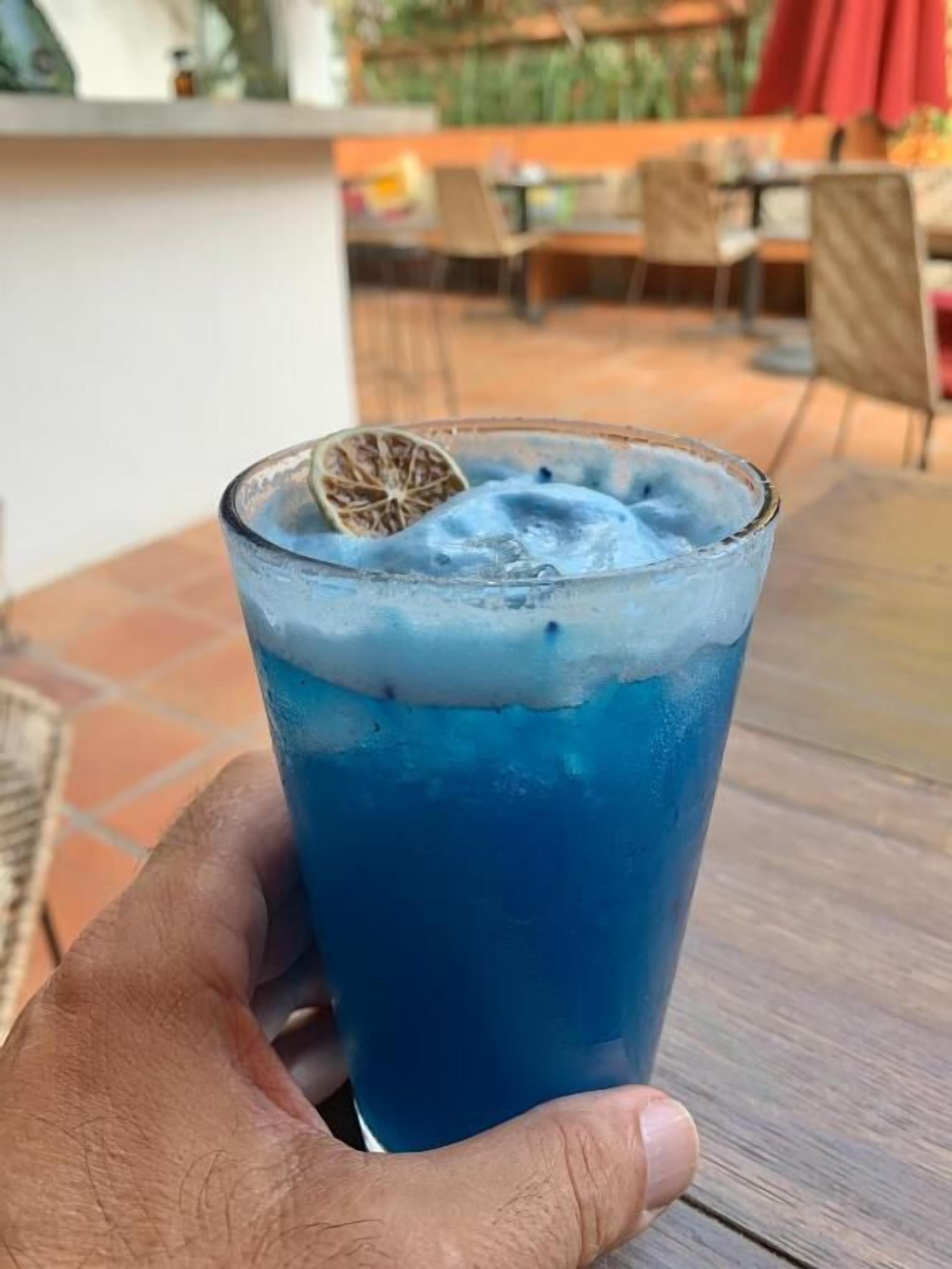 A hand holding a glass with a blue beverage, ice, and a dried orange slice garnish.