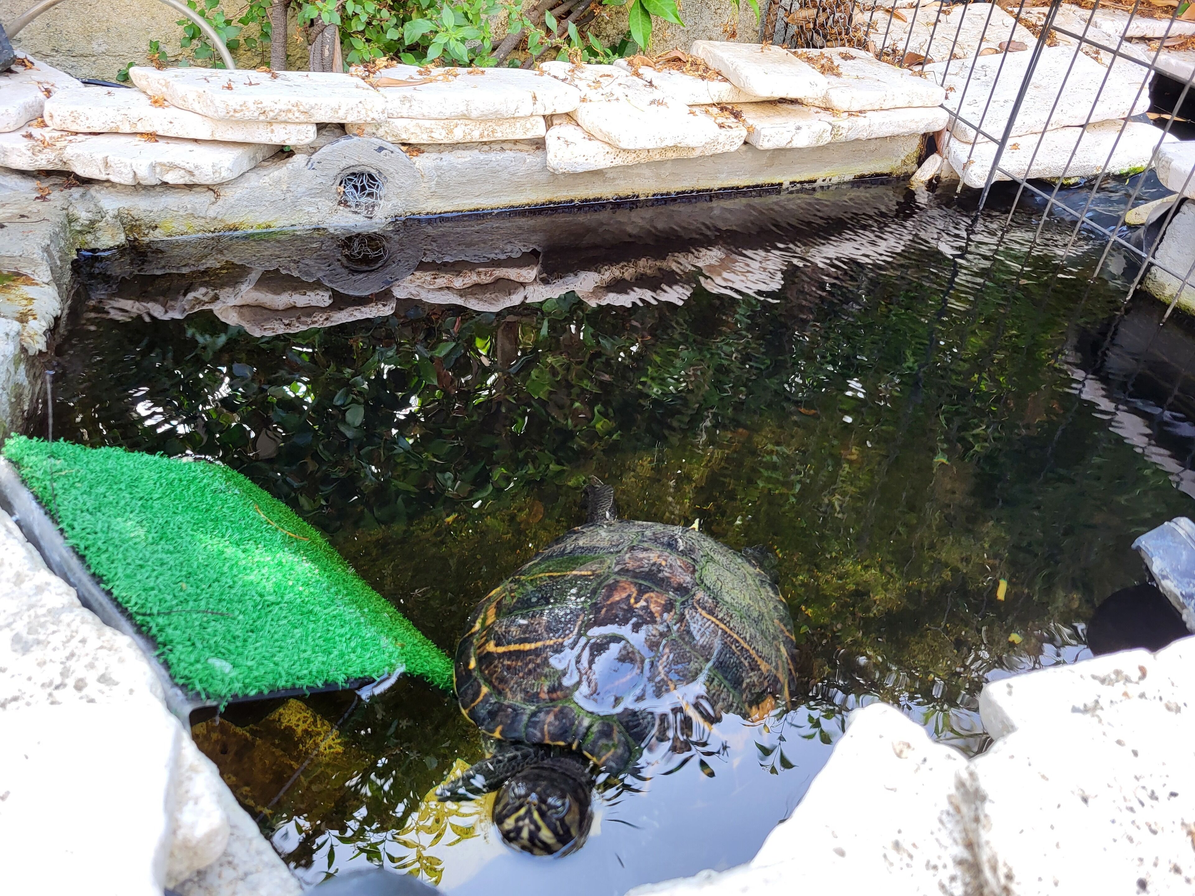 Photo - B&B Magna Grecia