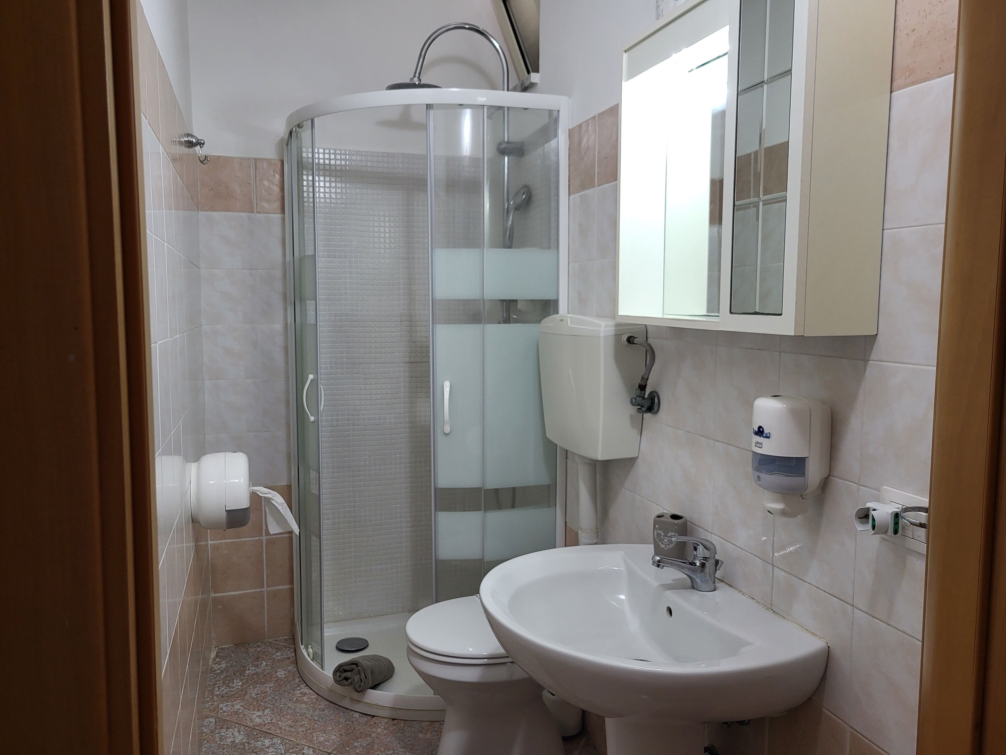 Un baño con ducha de vidrio, inodoro y lavamanos con espejo.