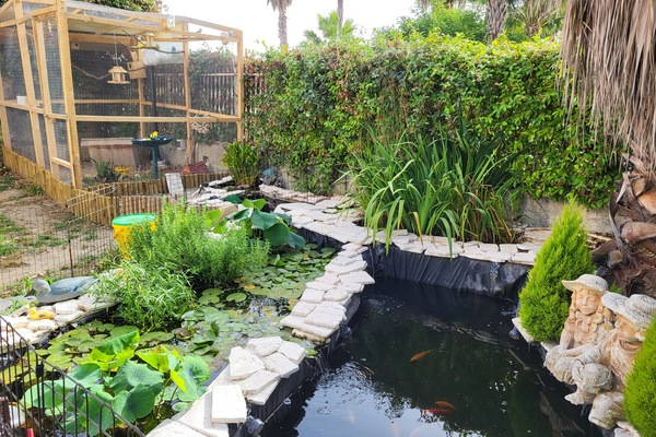 Pemandangan taman