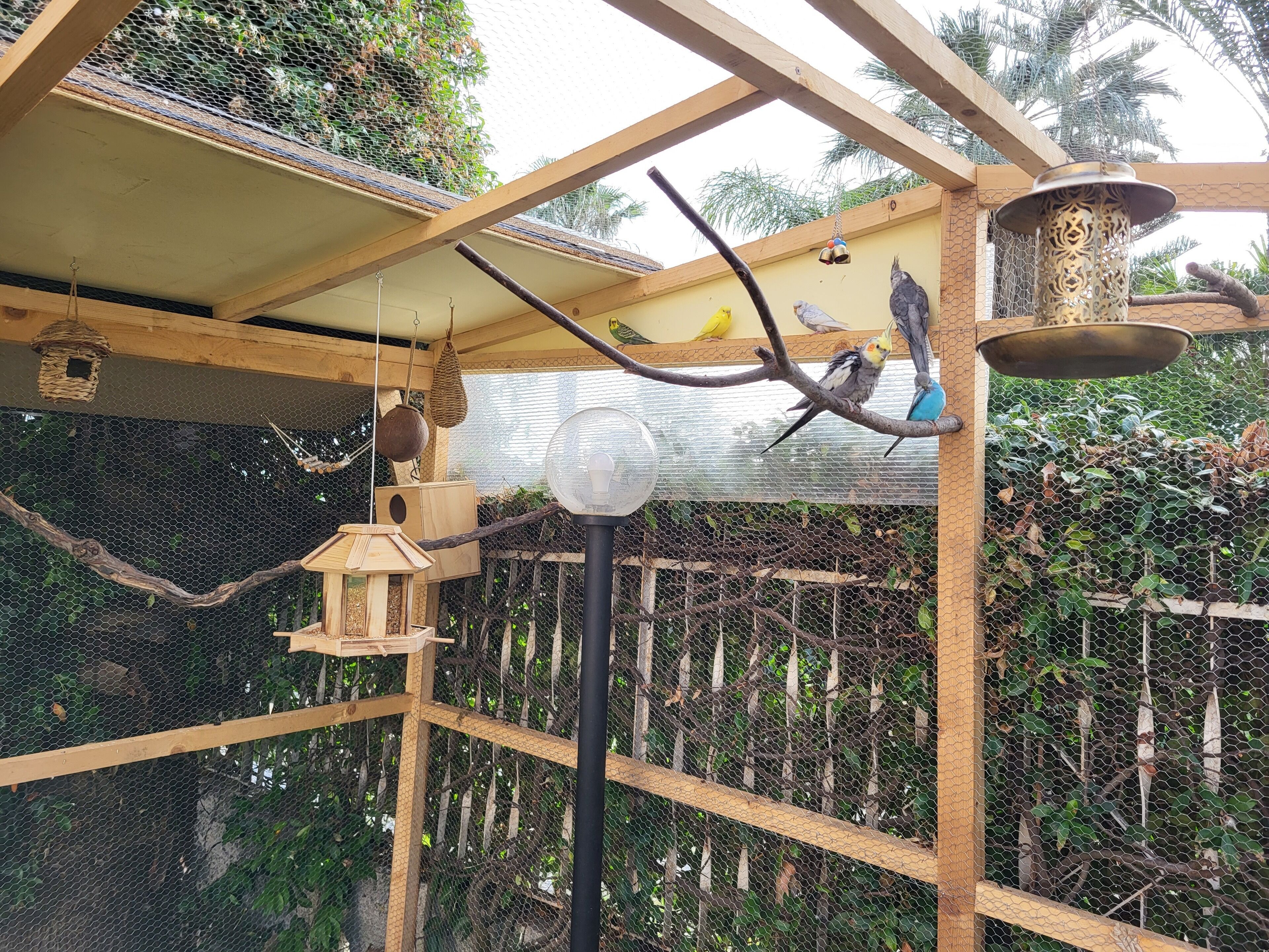 Uma gaiola de pássaros com vários poleiros, um comedouro suspenso e um candeeiro decorativo.