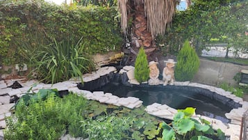 Vista al jardín