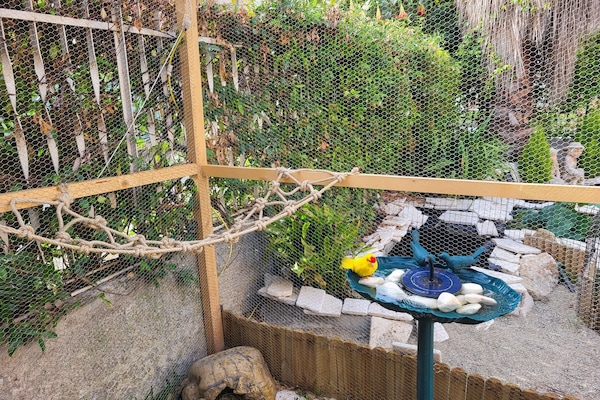 Garden view