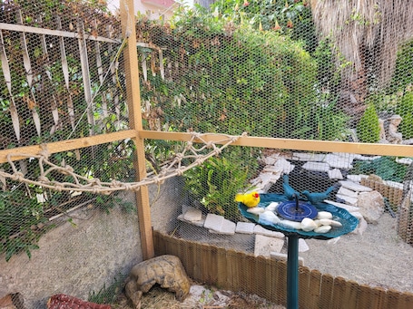 Garden view