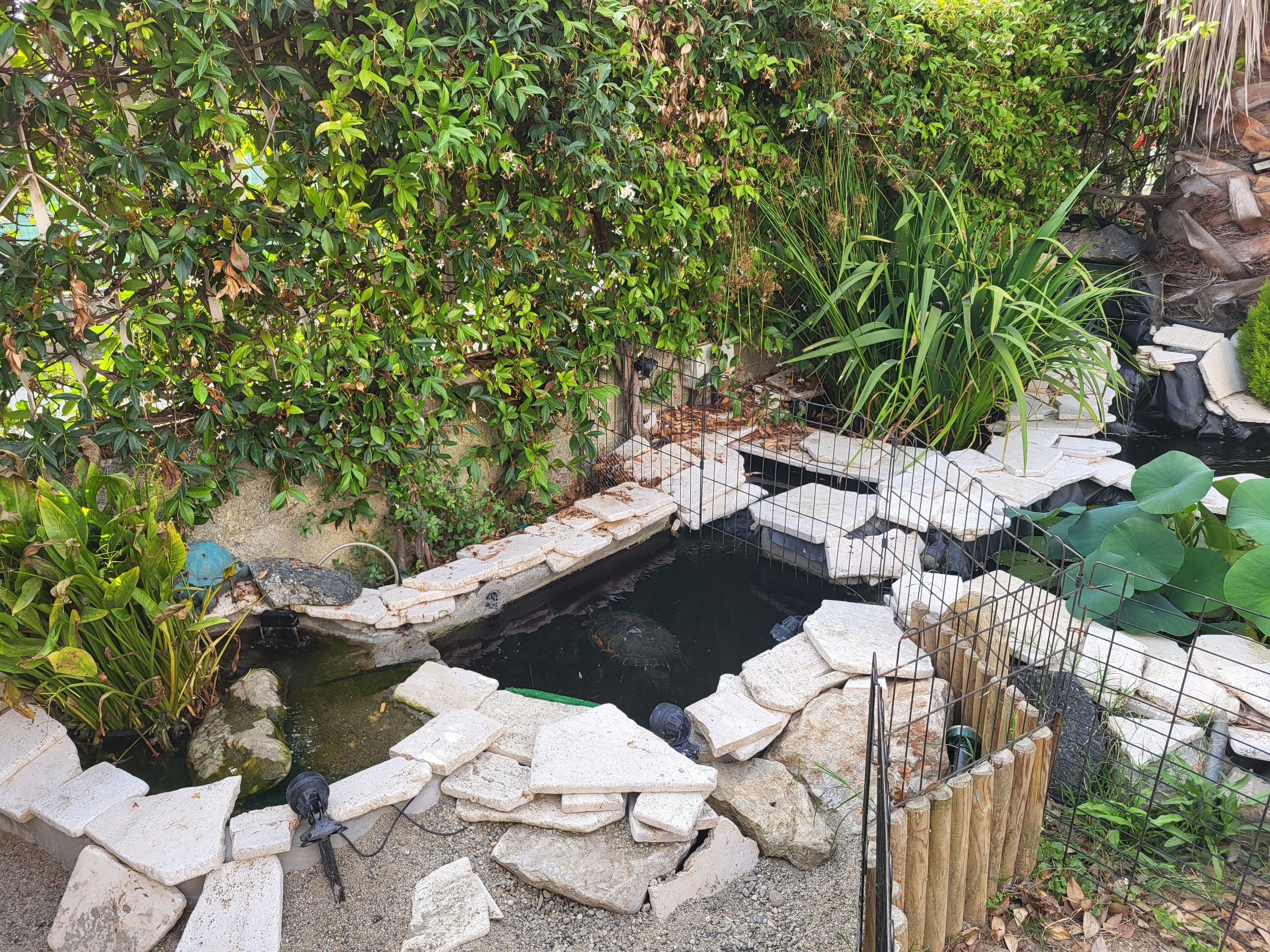 Photo - B&B Magna Grecia