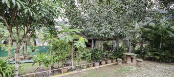 Banana Lodge