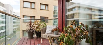 Birch at Clarion Quay