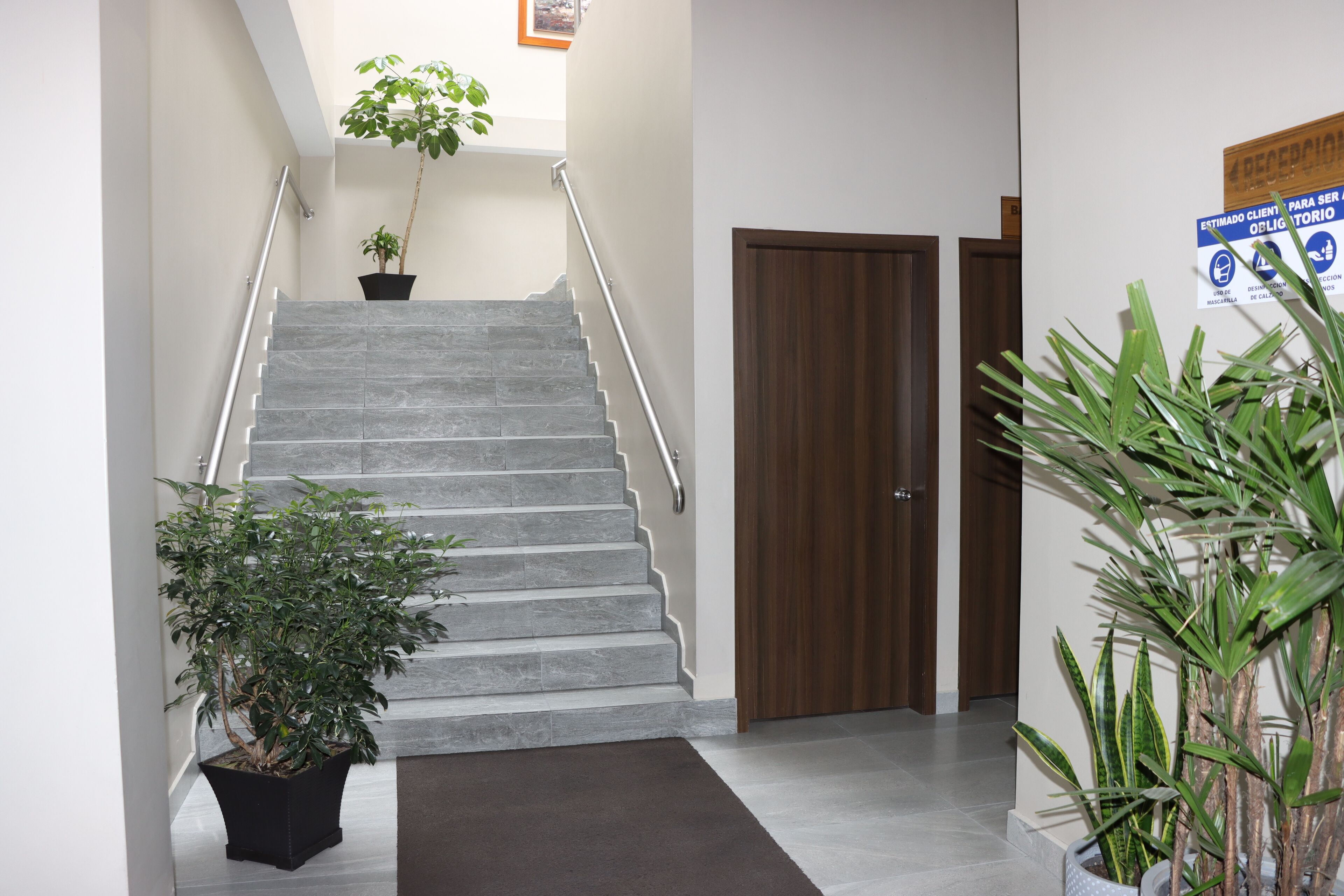 Un escalier avec une rampe, un pot de fleurs à sa base et une porte en bois en haut.