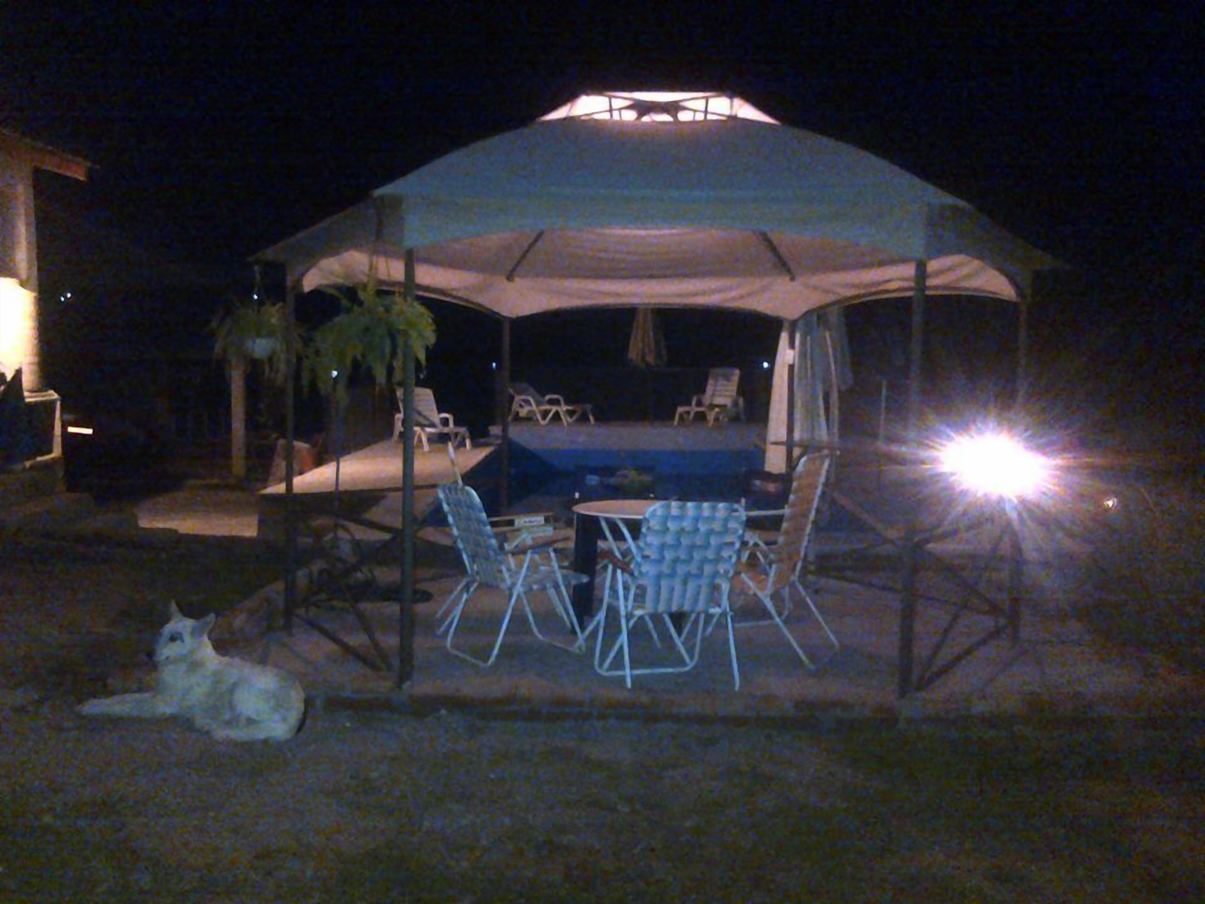 Una piscina al aire libre, sombrillas, sillones reclinables de piscina