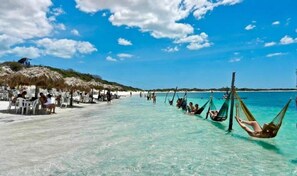 Una playa con agua turquesa cristalina, gente relajándose en hamacas y un comedor con mesas y sombrillas.