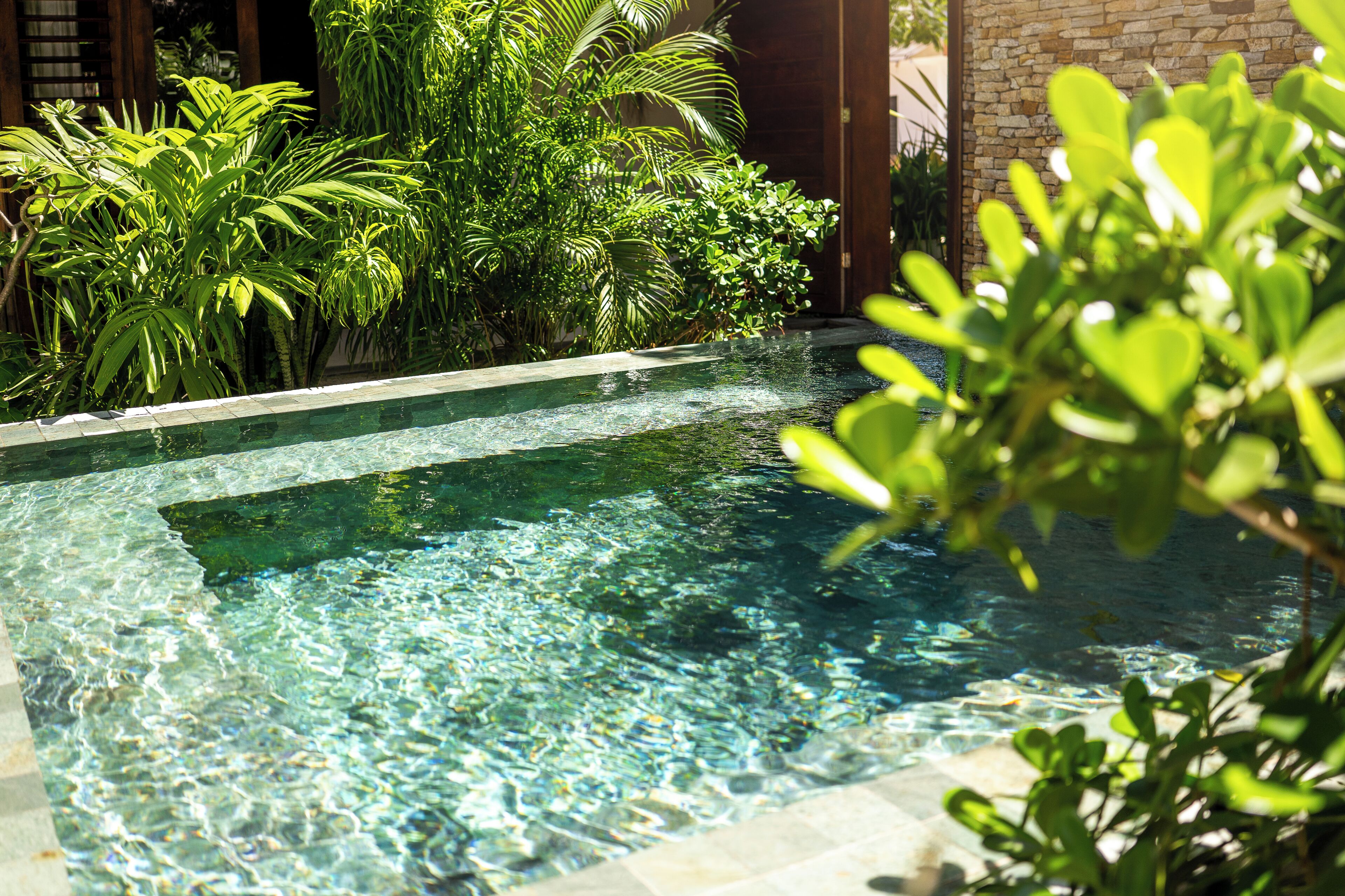 Una piscina cristalina con borde de piedra, rodeada de abundante vegetación verde.