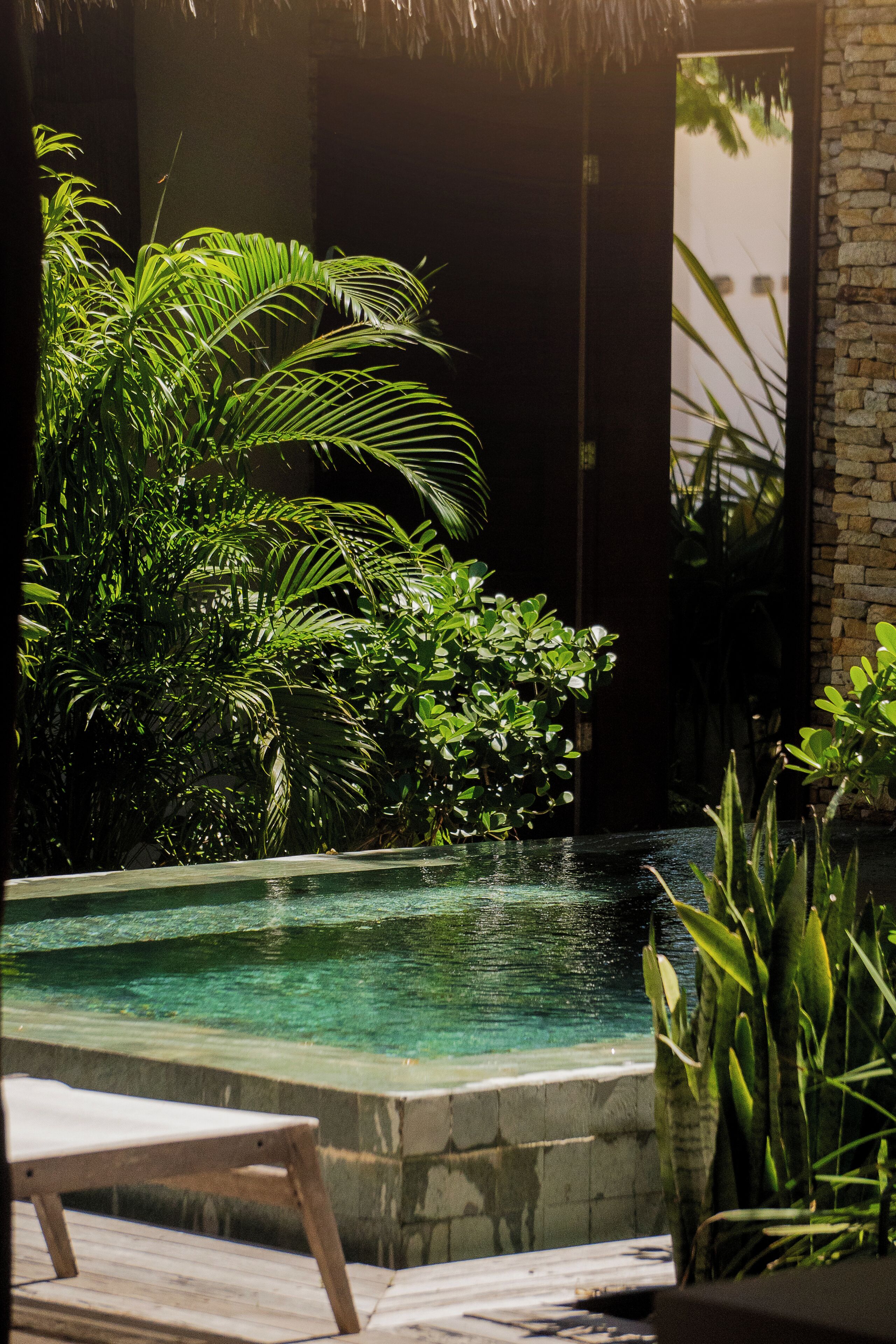 Un área de piscina con una tumbona, rodeada de abundante vegetación y un muro de piedra.