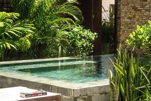 Piscina com água cristalina, rodeada por vegetação exuberante e um muro de pedra.