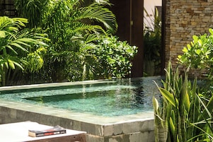 Una piscina con agua cristalina, rodeada de abundante vegetación y un muro de piedra.