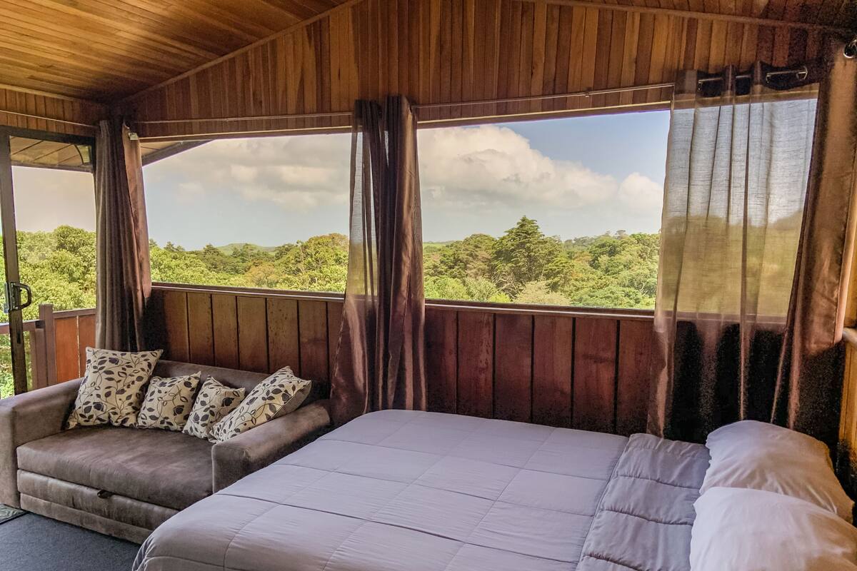A room with a bed, a sofa, and a view of a forest.