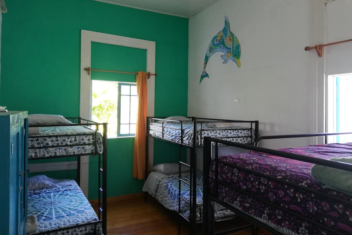 Une chambre de dortoir avec des lits superposés, une fenêtre avec des rideaux et une fresque murale.