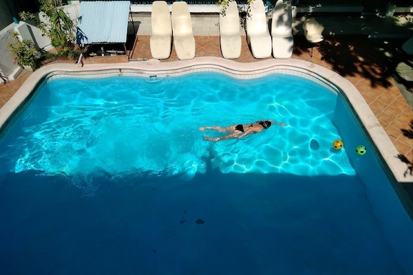 Outdoor pool, sun loungers
