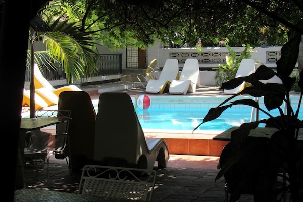 Outdoor pool, sun loungers