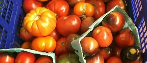 A blue basket filled with various tomatoes and squash.