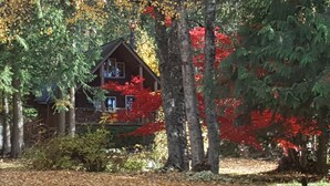 A cabin with a balcony, surrounded by trees with autumn leaves. - Wedgwood Manor and Glamping Retreat (Crawford Bay)