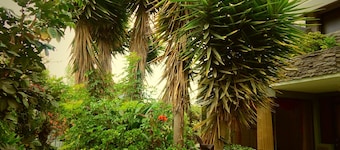 Hotel Rubus