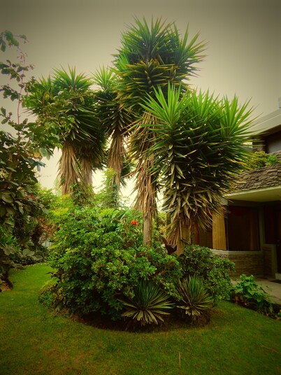 Hotel Rubus
