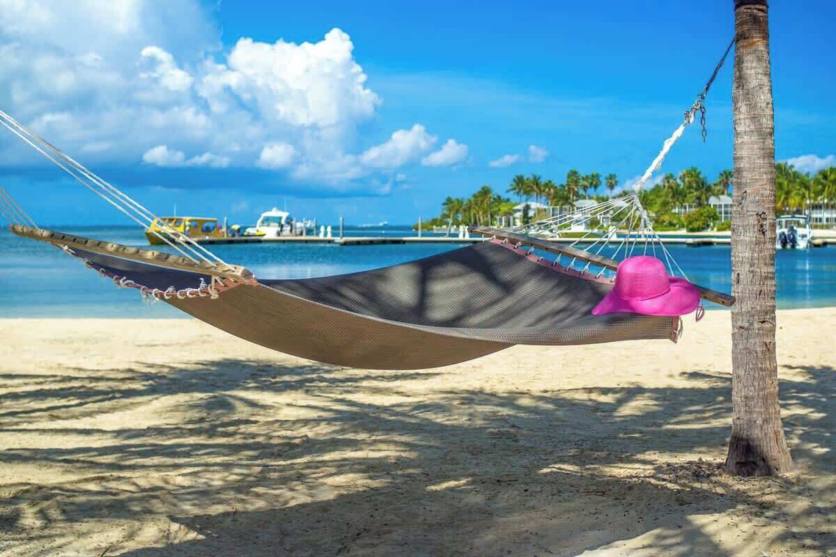 A hammock tied to a palm tree on a sandy beach with a clear view of the ocean and boats in the background.