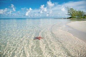 Ubicación a pie de playa