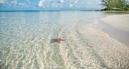 Entspannen Sie sich, Kajak, / Paddle Board / Bike diese Insel Paradise -7UP von CaymanVacation