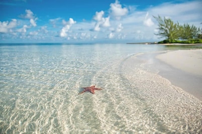 7 Up Condo at Scenic Kaibo Kai - Beach & Pool