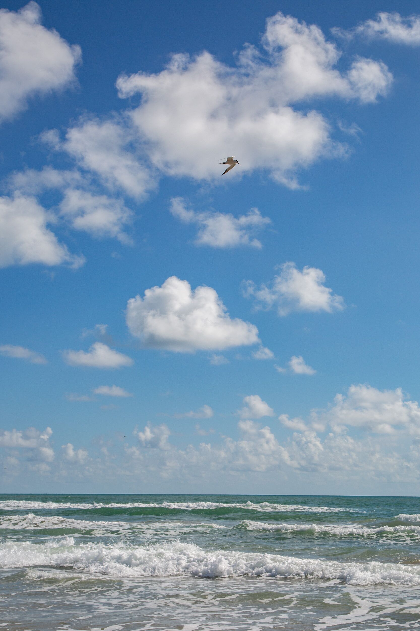 Espreguiçadeiras, toalhas de praia 