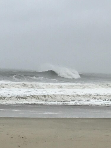 Suloinen vierasmaja 3 korttelin päässä rannalta