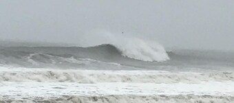 Adorable Guesthouse 3 Blocks To The Beach