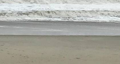 Suloinen vierasmaja 3 korttelin päässä rannalta