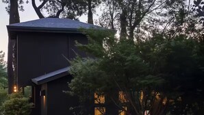 A modern house with a dark exterior, surrounded by lush greenery and a gravel path.