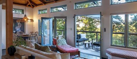 Smart TV, fireplace, books