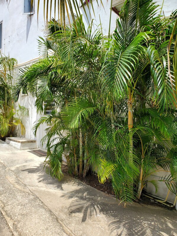 Exterior detail - Vacation Apartment with 2 Bedroom at Grand SunValley Residences (Willemstad)