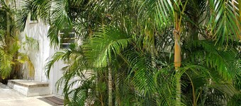 Vacation Apartment with 2 Bedroom at Grand SunValley Residences 